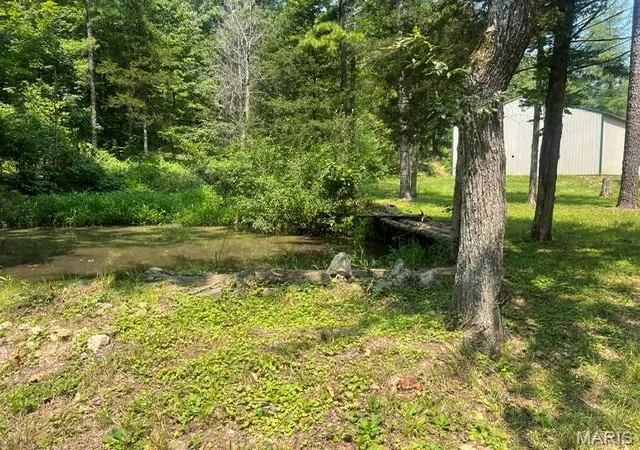 Photo 3 of Land for sale at 00 County Road 341, Piedmont, MO 63957 | MLS# MIS26055219 | Listing updated on 2026-09-15