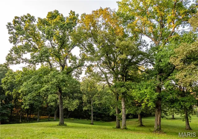 Photo 3 of Land for sale at 0 Hwy D Tract 6a (121+/ Acres), Eolia, MO 63344 | MLS# MIS26055237 | Listing updated on 2026-09-11