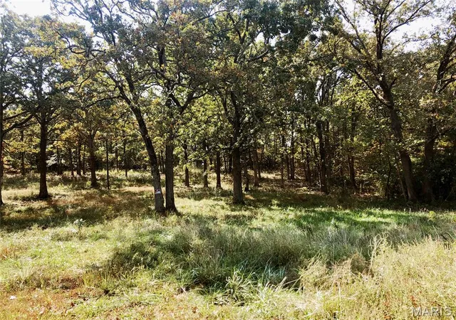 Photo 2 of Land for sale at 10240 County Road 3060, Rolla, MO 65401 | MLS# MIS26055718 | Listing updated on 2026-09-11