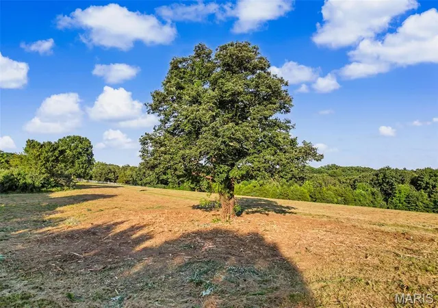 Land for sale at 0000 Hyfield Rd, De Soto, MO 63020 | MLS# MIS26056136