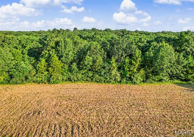 Photo 3 of House for sale at 0000 Hyfield Rd, De Soto, MO 63020 | MLS# MIS26056136 | Listing updated on 2026-10-14