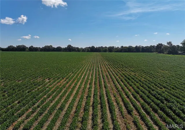 Photo 1 of Sale Pending at 36996 State Hwy 53 #D, Campbell, MO 63933 | MLS# MIS26056144 | Listing updated on 2026-10-07