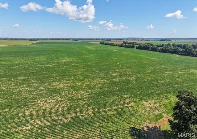 Photo 3 of Sale Pending at 36996 State Hwy 53 #D, Campbell, MO 63933 | MLS# MIS26056144 | Listing updated on 2026-10-07