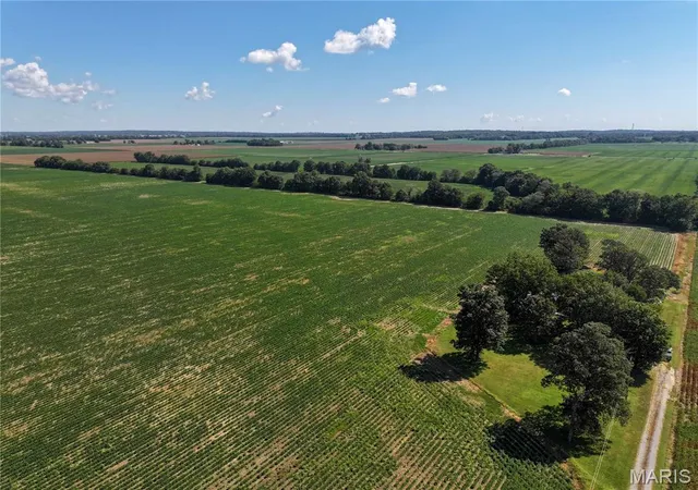 Photo 3 of Sale Pending at 36996 State Hwy 53 #D, Campbell, MO 63933 | MLS# MIS26056144 | Listing updated on 2026-10-07