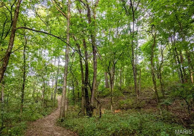 Photo 3 of Sale Pending at 00 Pike 268 Hwy, Eolia, MO 63344 | MLS# MIS26056423 | Listing updated on 2026-09-14