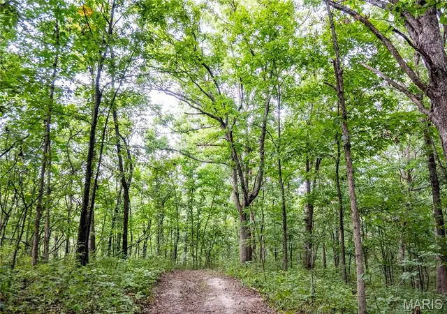 Photo 4 of Sale Pending at 00 Pike 268 Hwy, Eolia, MO 63344 | MLS# MIS26056423 | Listing updated on 2026-09-14