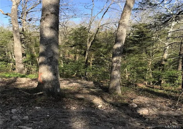 Photo 3 of Land for sale at 5980 N Lakeshore Dr, Hillsboro, MO 63050 | MLS# MIS26056515 | Listing updated on 2026-09-14
