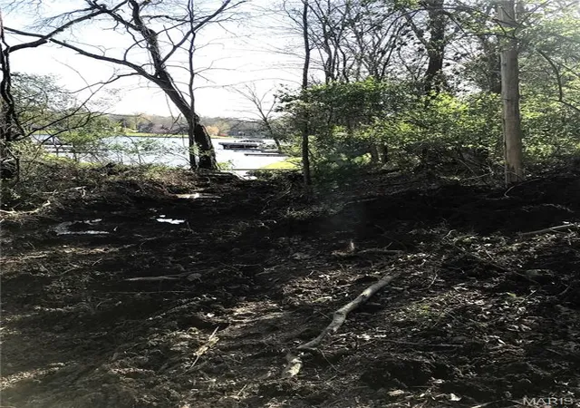 Photo 3 of Land for sale at 5980 N Lakeshore Dr, Hillsboro, MO 63050 | MLS# MIS26056515 | Listing updated on 2026-09-14
