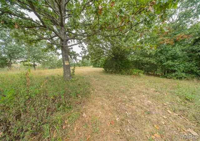 Photo 4 of Land for sale at 15501 State Route W, Rolla, MO 65550 | MLS# MIS26056526 | Listing updated on 2026-10-02