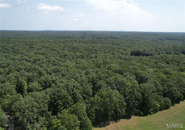 Photo 4 of Land for sale at Tbd H, Glen Allen, MO 63636 | MLS# MIS26057311 | Listing updated on 2026-09-15
