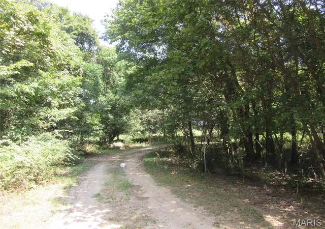 Photo 2 of Land for sale at 0 Monroe, Campbell, MO 63933 | MLS# MIS26057347 | Listing updated on 2026-09-11