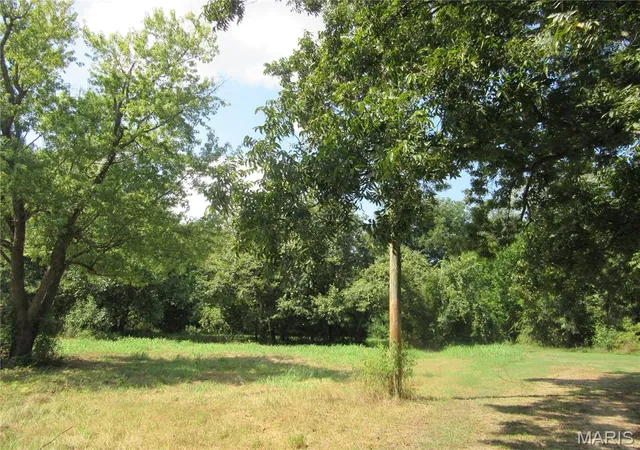 Photo 3 of Land for sale at 0 Monroe, Campbell, MO 63933 | MLS# MIS26057347 | Listing updated on 2026-09-11