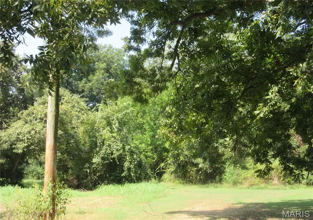 Photo 4 of Land for sale at 0 Monroe, Campbell, MO 63933 | MLS# MIS26057347 | Listing updated on 2026-09-11