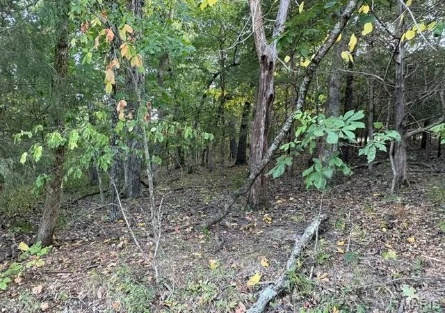 Photo 1 of Sale Pending at 5205 Tree Crst Dr, Hillsboro, MO 63050 | MLS# MIS26057447 | Listing updated on 2026-09-12
