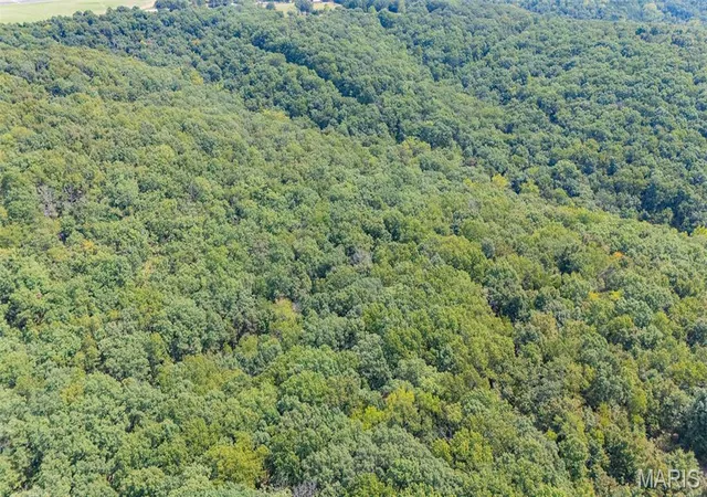 Photo 4 of Sale Pending at 14456 Hwy Ff, Vichy, MO 65580 | MLS# MIS26057484 | Listing updated on 2026-09-29