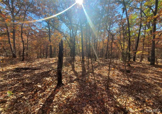 Photo 4 of Land for sale at 0 South Hwy 17, Laquey, MO 65534 | MLS# MIS26057721 | Listing updated on 2026-09-29