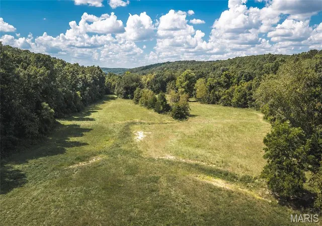 Photo 3 of Land for sale at 9223 E Highway 32, Salem, MO 65560 | MLS# MIS26057894 | Listing updated on 2026-09-10