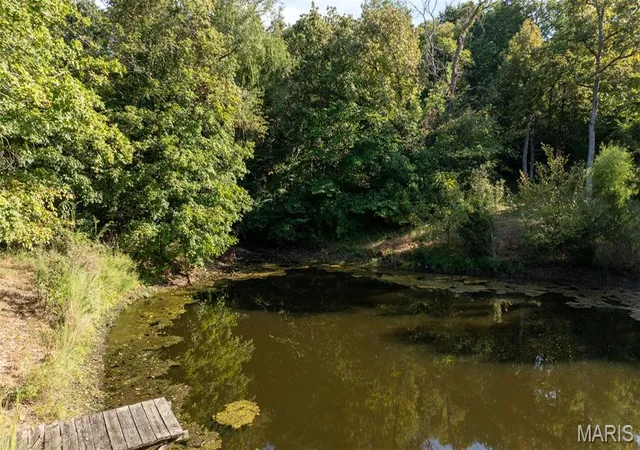 Photo 4 of Single family home for sale at 7192 Jones Rd, Bloomsdale, MO 63627 | MLS# MIS26058083 | Listing updated on 2026-10-07