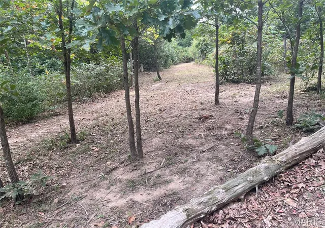 Photo 4 of Land for sale at 518 Winding Woods Ct, Saint Clair, MO 63077 | MLS# MIS26058116 | Listing updated on 2026-09-21