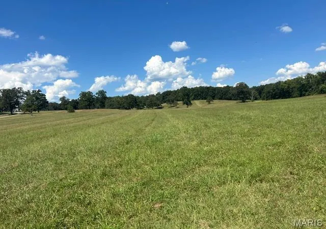 Photo 1 of Land for sale at 0 Monday Ln, Williamsville, MO 63967 | MLS# MIS26058156 | Listing updated on 2026-09-11