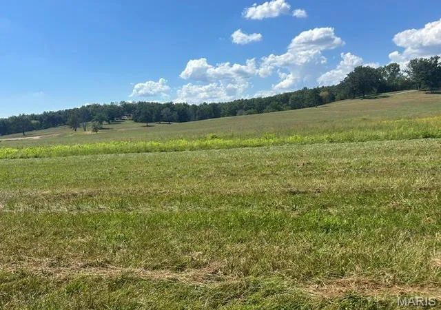 Photo 2 of Land for sale at 0 Monday Ln, Williamsville, MO 63967 | MLS# MIS26058156 | Listing updated on 2026-09-11