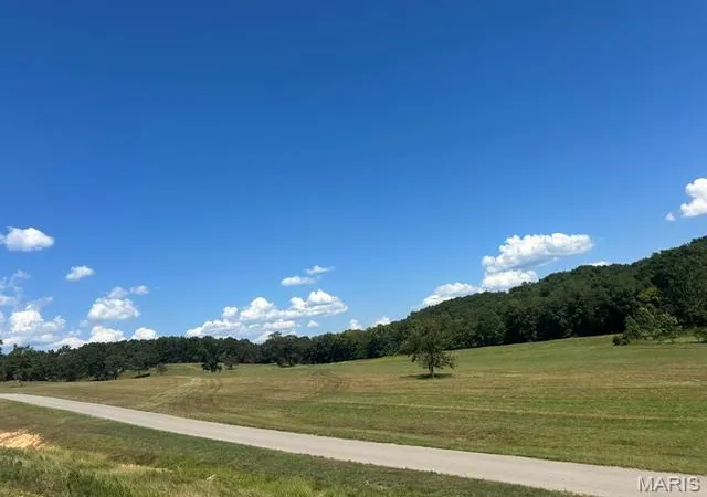 Photo 3 of Land for sale at 0 Monday Ln, Williamsville, MO 63967 | MLS# MIS26058156 | Listing updated on 2026-09-11