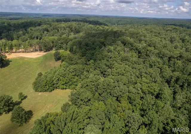 Photo 3 of Land for sale at 0 Monday Ln, Williamsville, MO 63967 | MLS# MIS26058156 | Listing updated on 2026-09-11