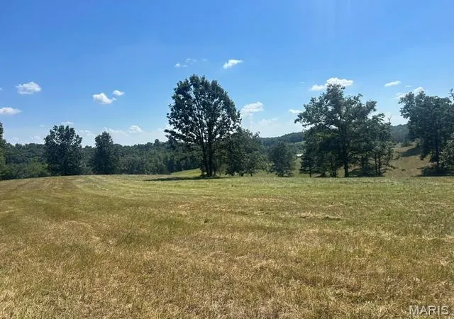 Photo 4 of Land for sale at 0 Monday Ln, Williamsville, MO 63967 | MLS# MIS26058156 | Listing updated on 2026-09-11