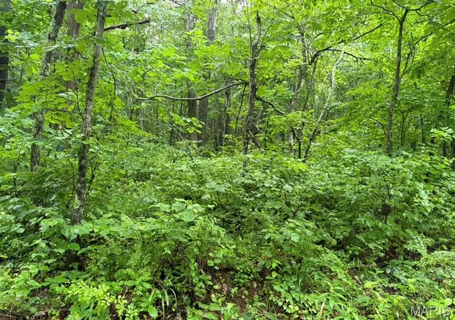 Land for sale at 000 County Rd 512, Piedmont, MO 63957 | MLS# MIS26058176