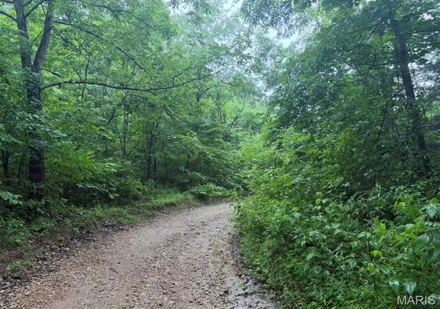 Photo 2 of Land for sale at 000 County Rd 512, Piedmont, MO 63957 | MLS# MIS26058176 | Listing updated on 2026-09-09