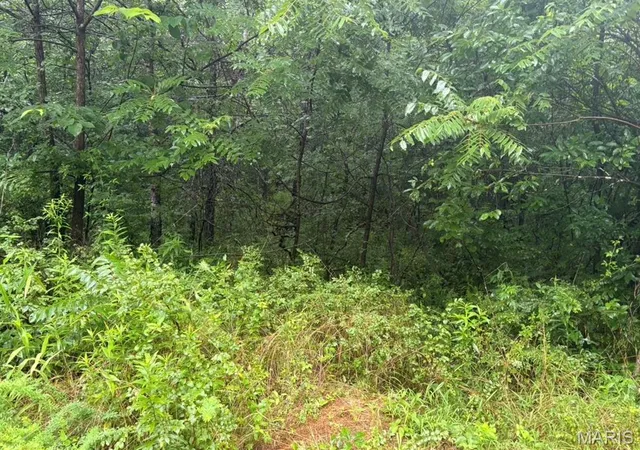 Photo 3 of Land for sale at 000 County Rd 512, Piedmont, MO 63957 | MLS# MIS26058176 | Listing updated on 2026-09-09