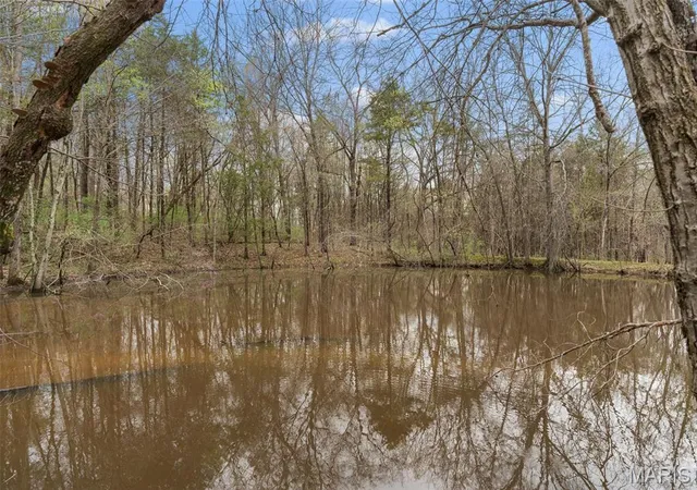 Photo 4 of Sale Pending at 15 (lot#35) Stablestone Dr, Union, MO 63084 | MLS# MIS26058319 | Listing updated on 2026-09-12
