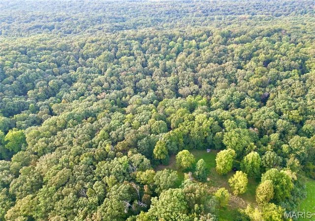 Photo 1 of Land for sale at 00 Bassett Rd, Elizabethtown, IL 62931 | MLS# MIS26058581 | Listing updated on 2026-09-10