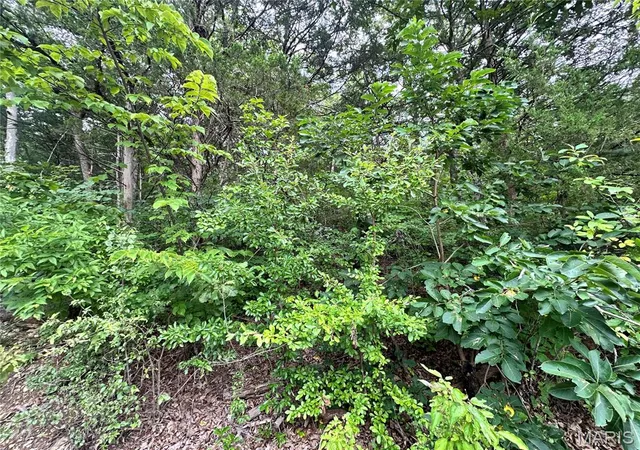 Land for sale at Lot 34 Lakeshore Dr, Owensville, MO 65066 | MLS# MIS26058724