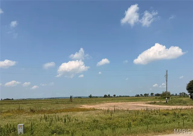 Photo 3 of Land for sale at 0 Highway 25, Malden, MO 63863 | MLS# MIS26058753 | Listing updated on 2026-09-11