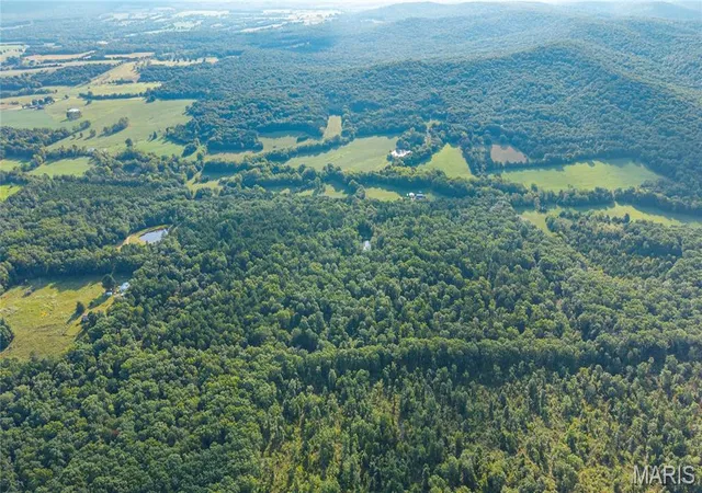 Photo 3 of Land for sale at 000 County Rd 55, Belleview, MO 63623 | MLS# MIS26058788 | Listing updated on 2026-09-13