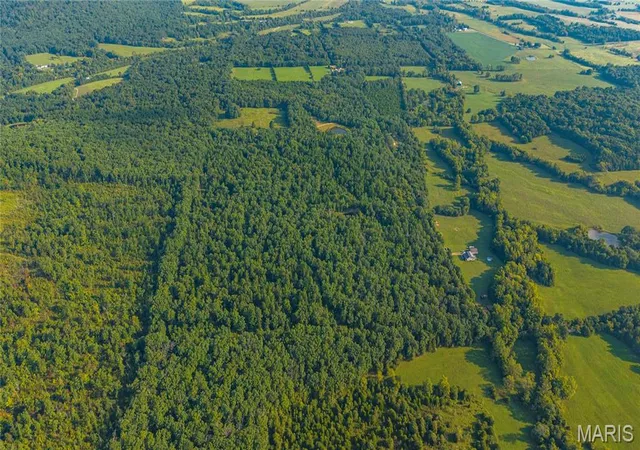 Photo 4 of Land for sale at 000 County Rd 55, Belleview, MO 63623 | MLS# MIS26058788 | Listing updated on 2026-09-13