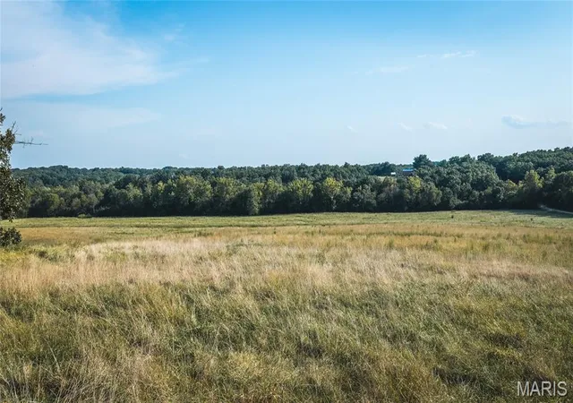 Photo 4 of Land for sale at 6051 Acres 4th, Owensville, MO 65066 | MLS# MIS26058854 | Listing updated on 2026-09-14