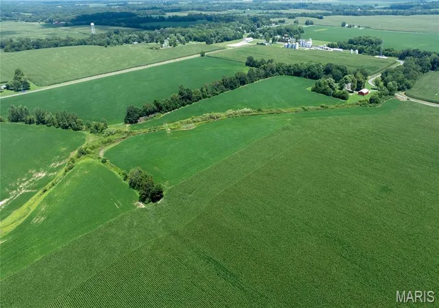 Photo 3 of Land for sale at Xxx Elevator Rd, Walshville, IL 62091 | MLS# MIS26059192 | Listing updated on 2026-09-14