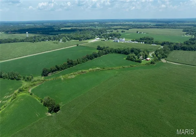 Photo 3 of Land for sale at Xxx Elevator Rd, Walshville, IL 62091 | MLS# MIS26059192 | Listing updated on 2026-09-14