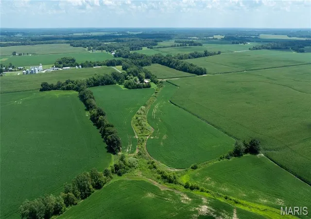 Photo 4 of Land for sale at Xxx Elevator Rd, Walshville, IL 62091 | MLS# MIS26059192 | Listing updated on 2026-09-14