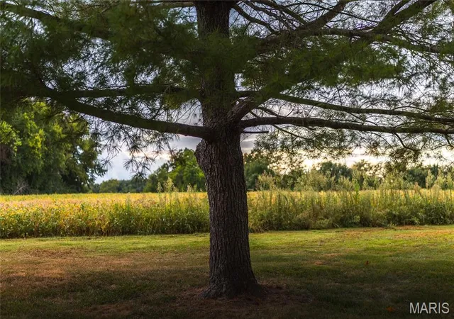 Photo 3 of Single family home for sale at 18435 Old Hwy 67, Jerseyville, IL 62052 | MLS# MIS26059249 | Listing updated on 2026-09-14