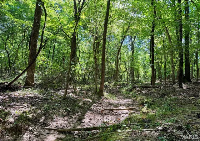 Photo 1 of Land for sale at 19137 County Rd 268, Bloomfield, MO 63825 | MLS# MIS26059438 | Listing updated on 2026-09-15