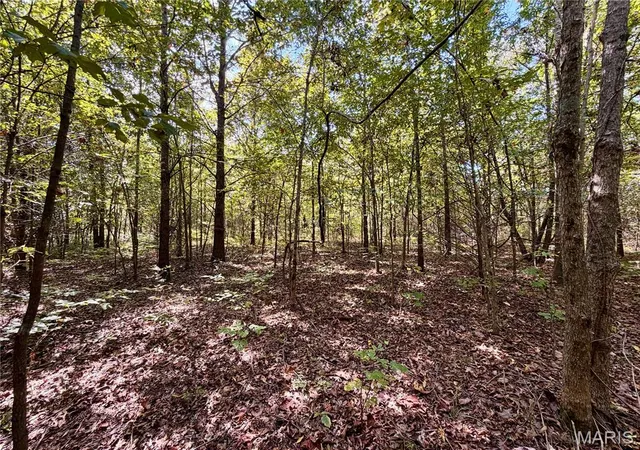 Photo 3 of Land for sale at 19137 County Rd 268, Bloomfield, MO 63825 | MLS# MIS26059438 | Listing updated on 2026-09-15