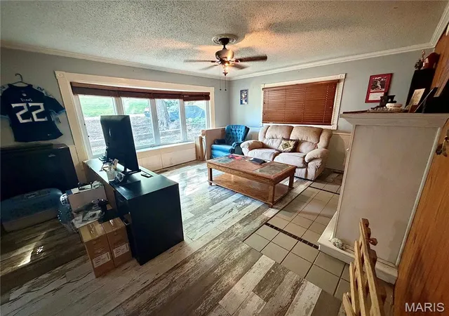 Photo 3 of Single family home for sale at 311 W Richardson Ave, Puxico, MO 63960 | MLS# MIS26059516 | Listing updated on 2026-09-15