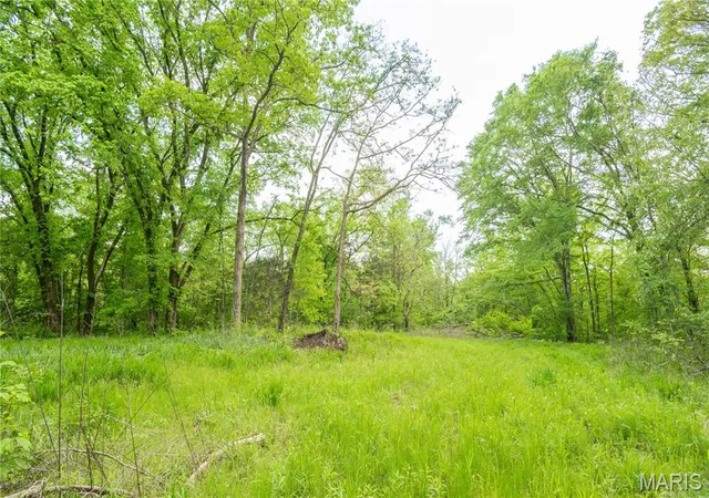 Photo 2 of Land for sale at 123 Bush Dr, Zalma, MO 63787 | MLS# MIS26059601 | Listing updated on 2026-09-15
