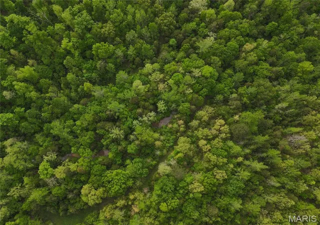 Photo 26 of Land for sale at 123 Bush Dr, Zalma, MO 63787 | MLS# MIS26059601 | Listing updated on 2026-09-15