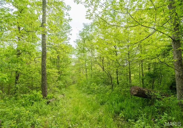 Photo 3 of Land for sale at 123 Bush Dr, Zalma, MO 63787 | MLS# MIS26059601 | Listing updated on 2026-09-15