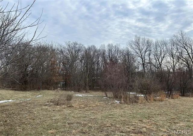 Photo 4 of Land for sale at 19580 Hillcrest Dr, Carlyle, IL 62231 | MLS# MIS25004118 | Listing updated on 2026-10-28