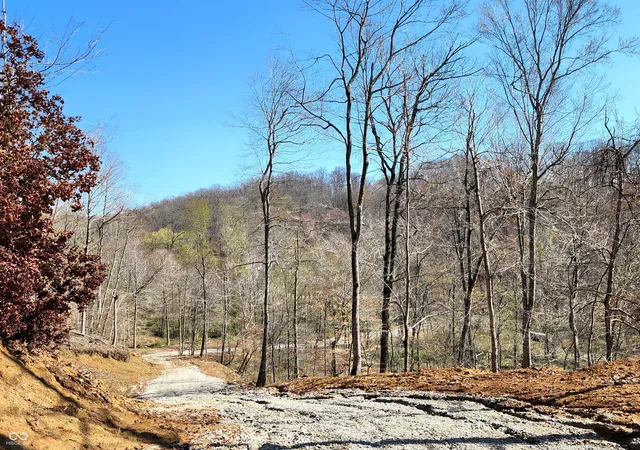 Photo 1 of Land for sale at 0 Goat Holw Ests Lot 1, Martinsville, IN 46151 | MLS# 22002043 | Listing updated on 2026-09-10